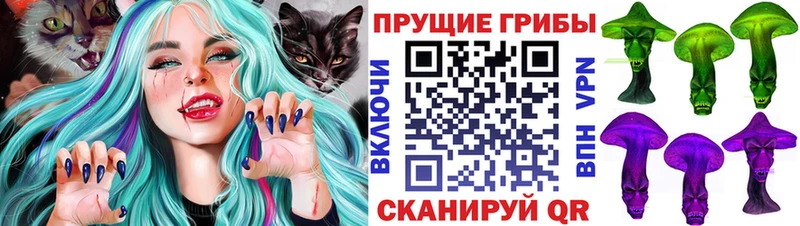 цены   kraken tor  Галлюциногенные грибы мухоморы  Михайловск 