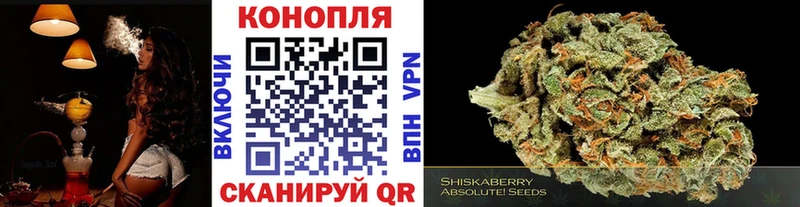 гидра ССЫЛКА  хочу   Михайловск  Шишки марихуана семена 